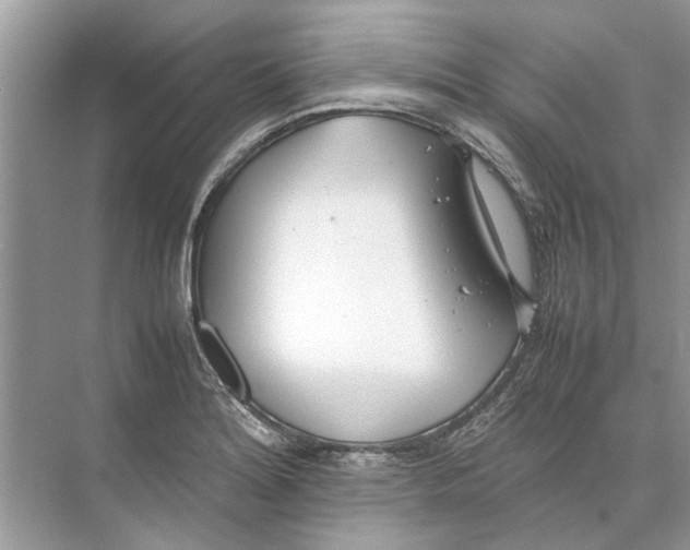 X0000074311180200609222353