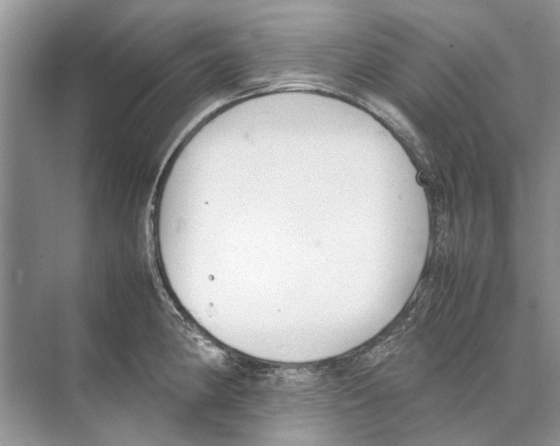 X0000074311190200609222353