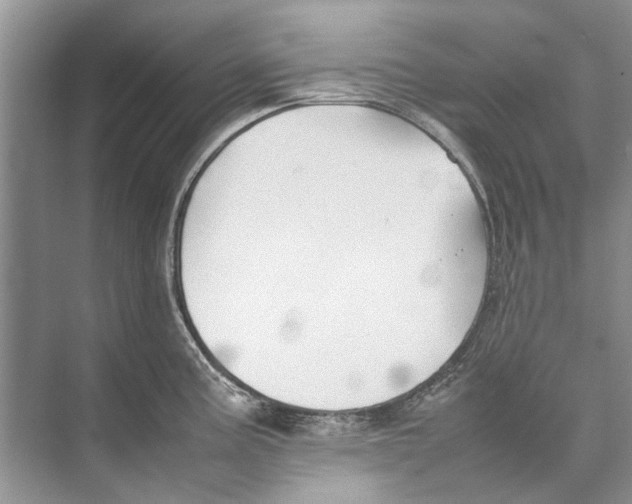 X0000074311195200609222352