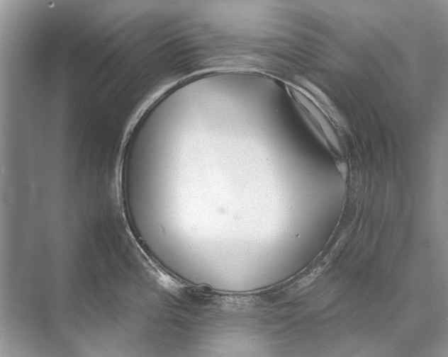 X0000074311196200609222352