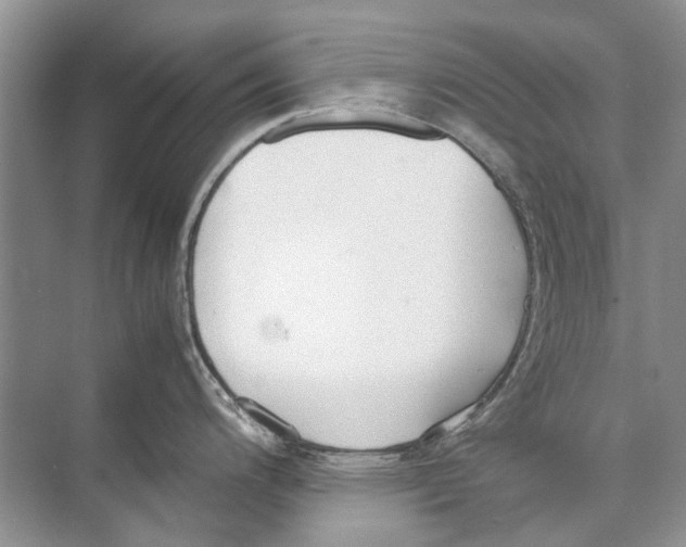 X0000074311200200609222352