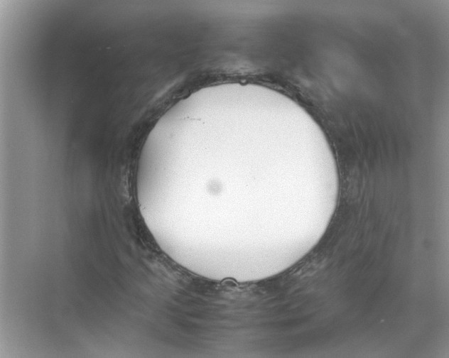 X0000074311205200609222352