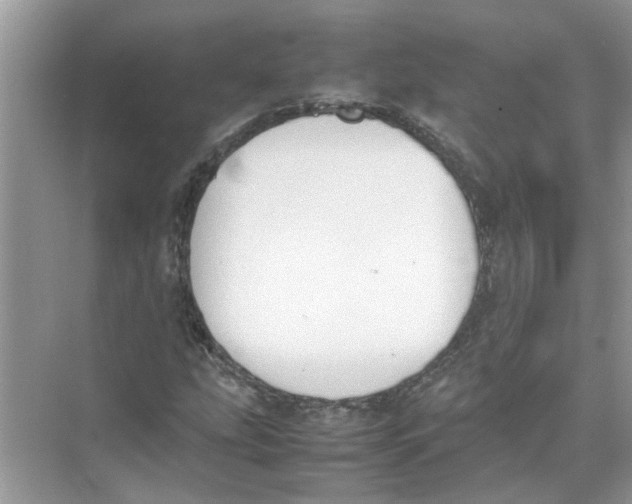 X0000074311207200609222352