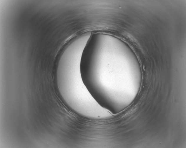 X0000074311210200609222352