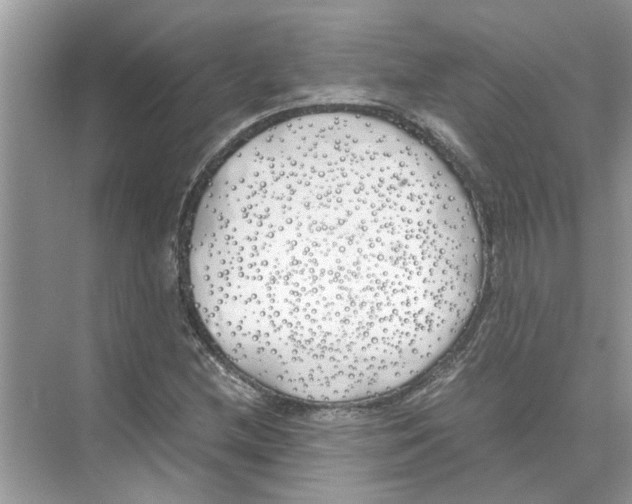 X0000074311212200609222352