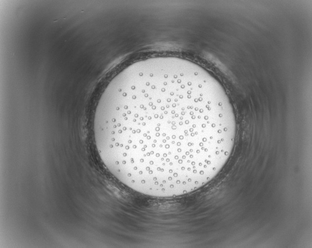 X0000074311213200609222352