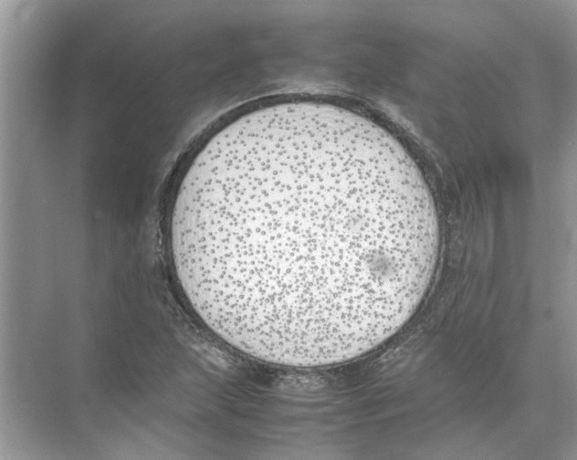 X0000074311215200609222352