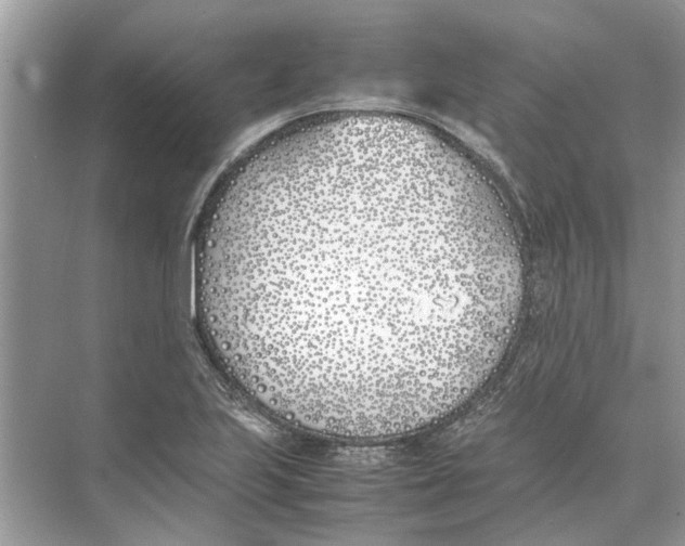 X0000074311223200609222352