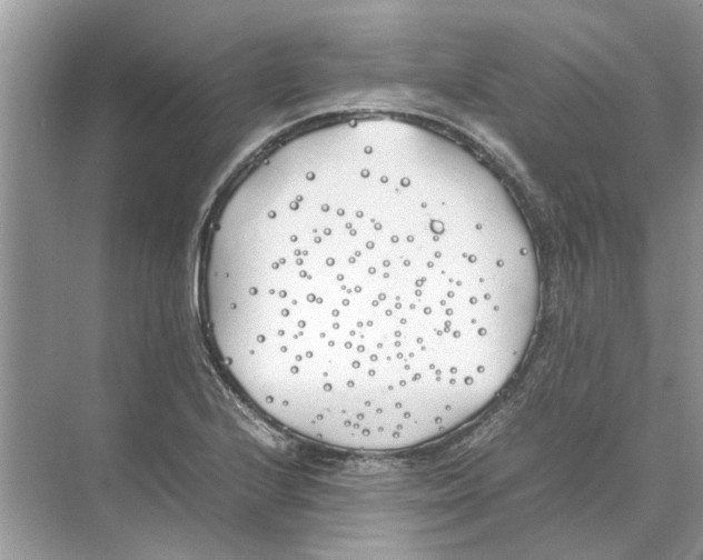 X0000074311224200609222352