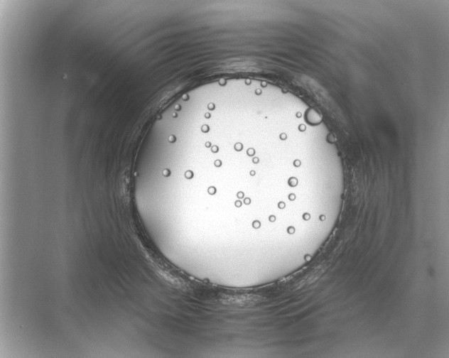 X0000074311225200609222352