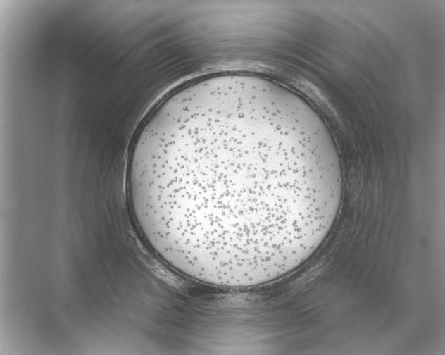 X0000074311228200609222352