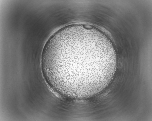 X0000074311231200609222352