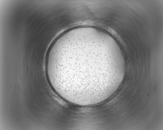 X0000074311232200609222352