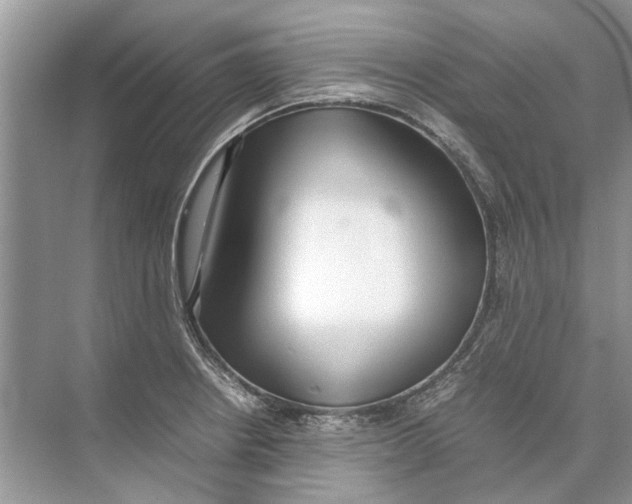 X0000074311234200609222352