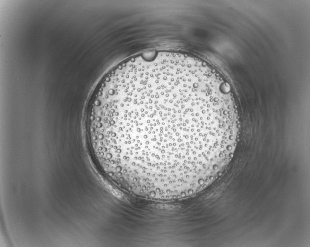 X0000074311235200609222352