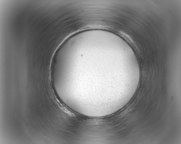 X0000074311236200609222352