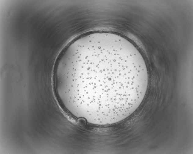 X0000074311237200609222352