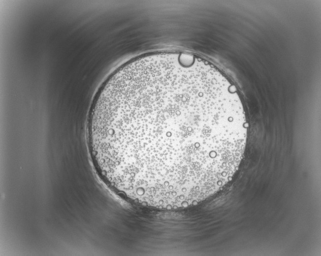 X0000074311239200609222352