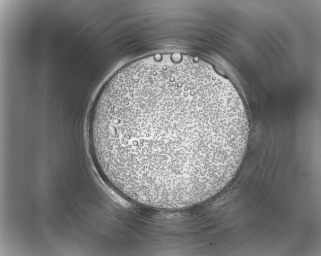 X0000074311243200609222352