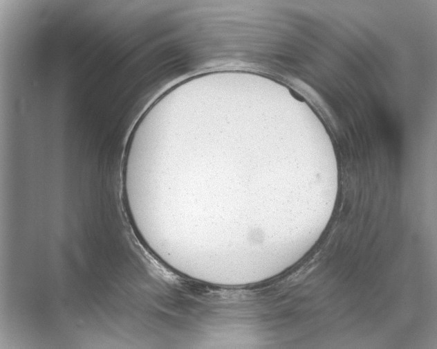 X0000074311244200609222352