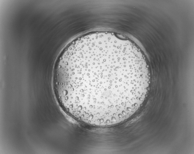 X0000074311245200609222352