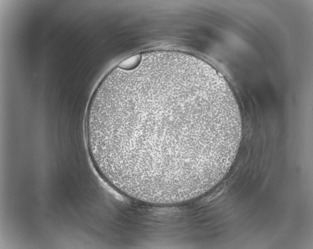 X0000074311247200609222352