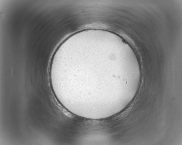 X0000074311248200609222352