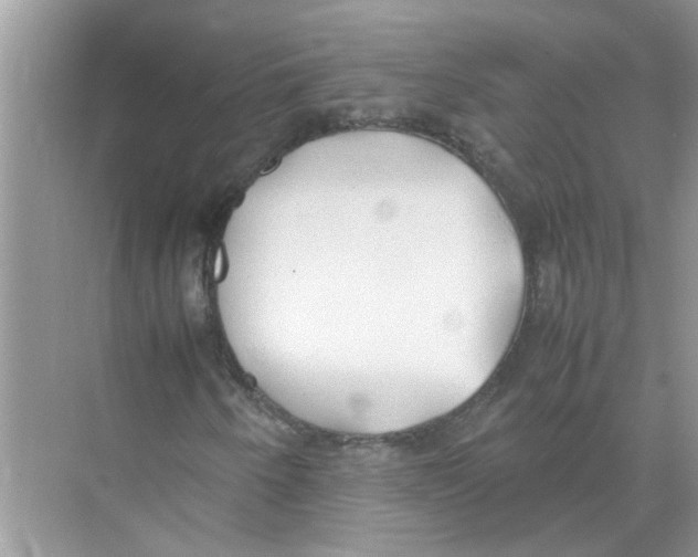 X0000074311250200609222352