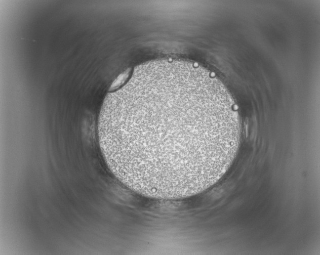 X0000074311251200609222352