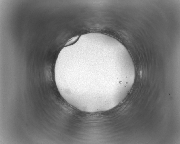 X0000074311252200609222352