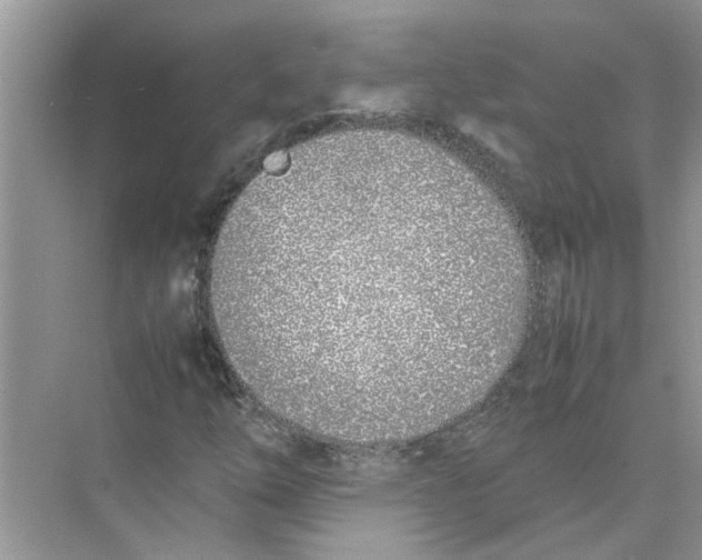 X0000074311254200609222352