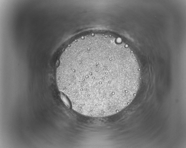 X0000074311255200609222351