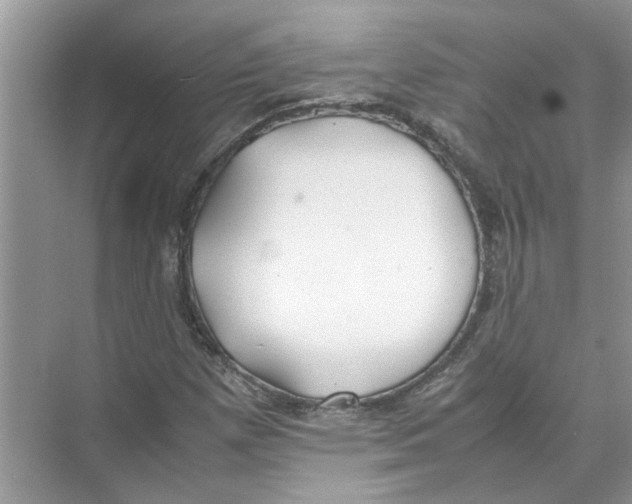 X0000074311257200609222351