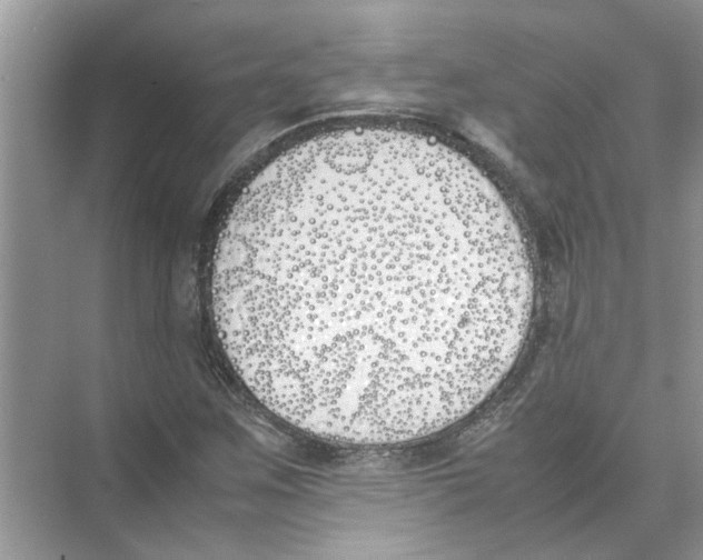 X0000074311259200609222351