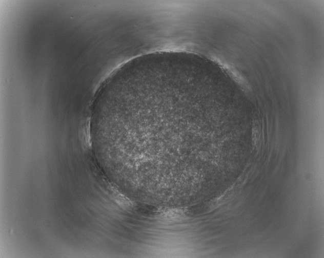 X0000074311262200609222351