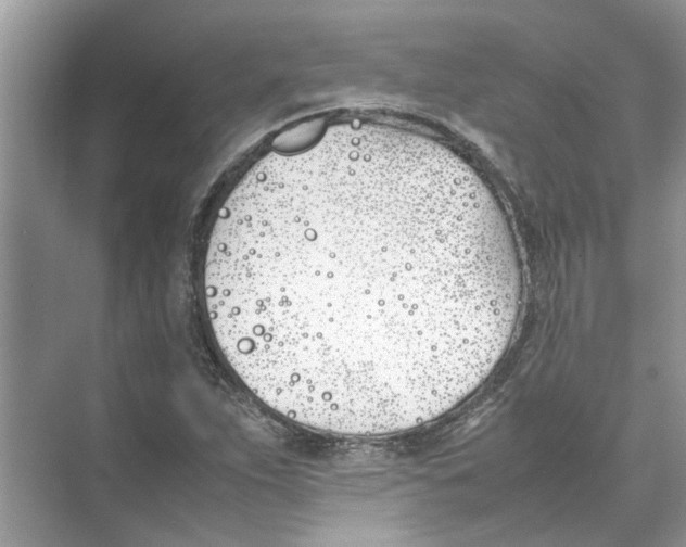 X0000074311263200609222351