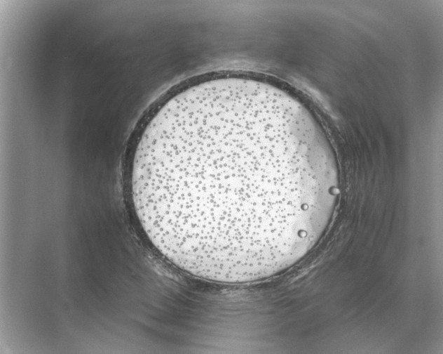 X0000074311264200609222351