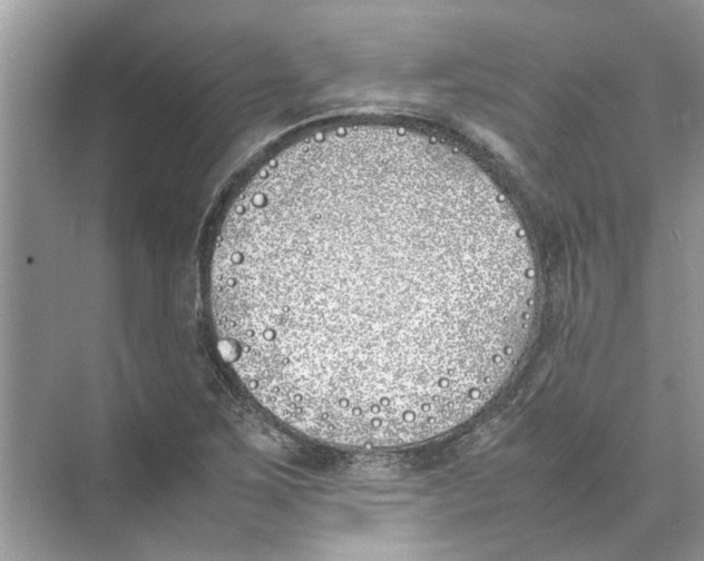 X0000074311267200609222351