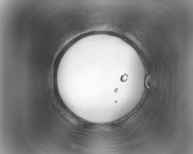 X0000074311270200609222351