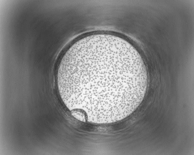 X0000074311271200609222351