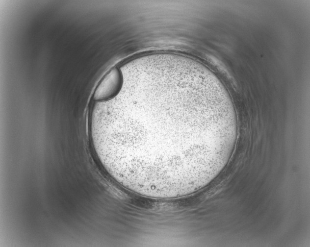 X0000074311275200609222351