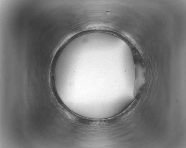 X0000074311277200609222351