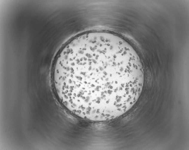 X0000074311278200609222351