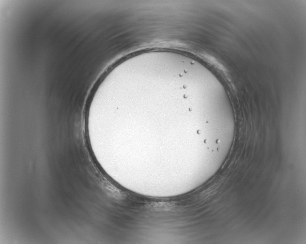 X0000074311280200609222351