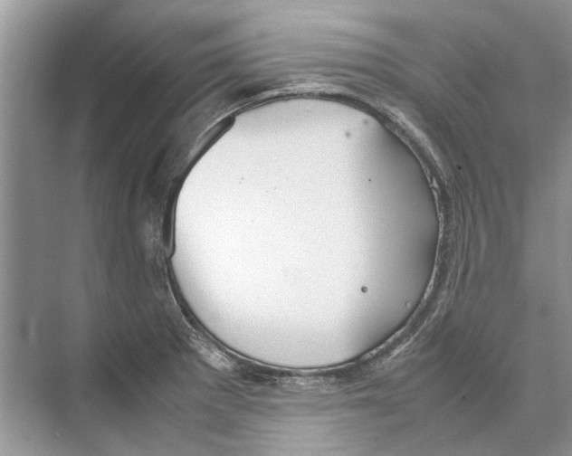 X0000074311281200609222351