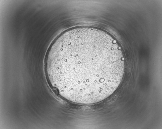 X0000074311283200609222351