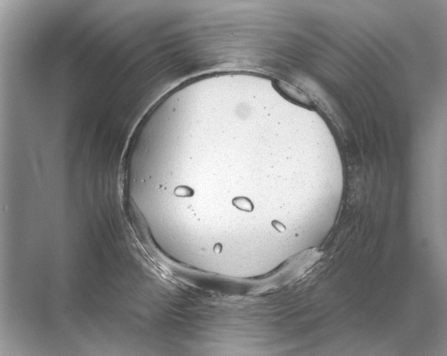 X0000074311284200609222351