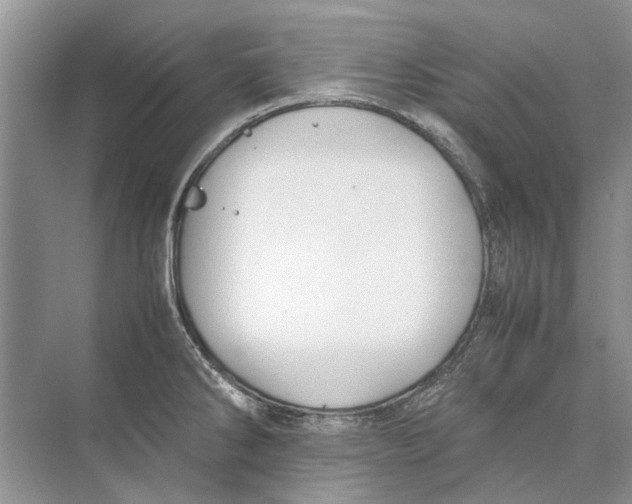 X0000074311286200609222351