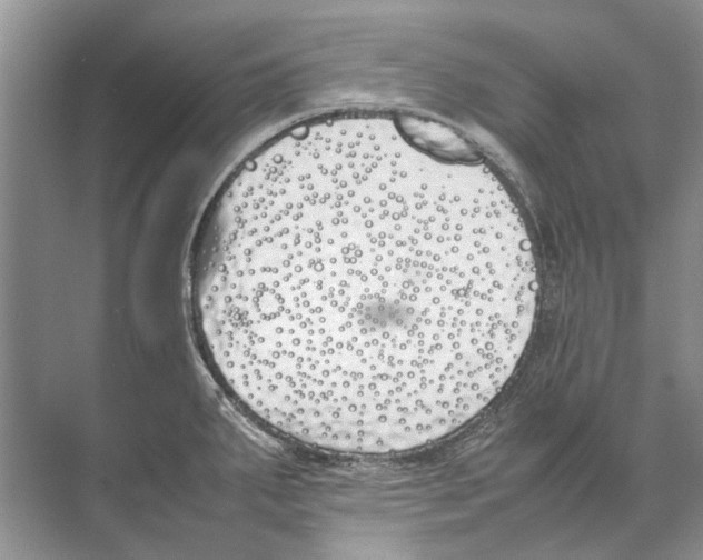 X0000074311287200609222351