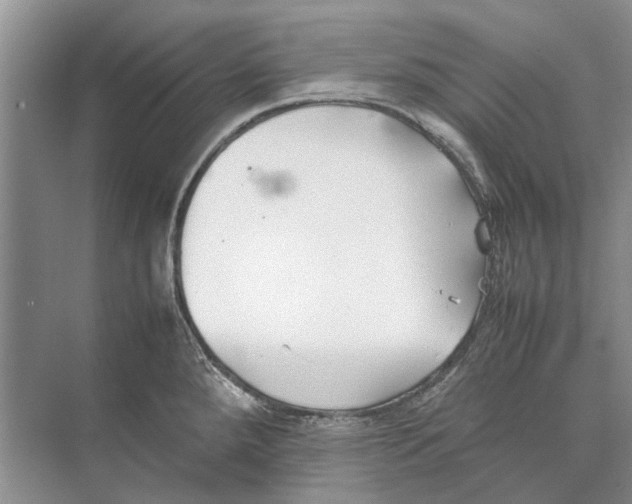 X0000074311288200609222351